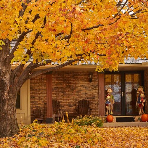 Features To Consider For Your Fall Renovation Project